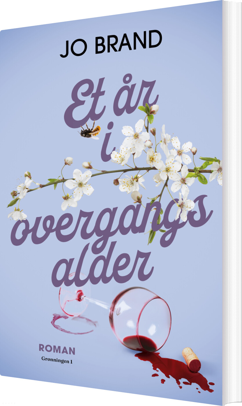 Et år I Overgangsalder - Jo Brand - Bog