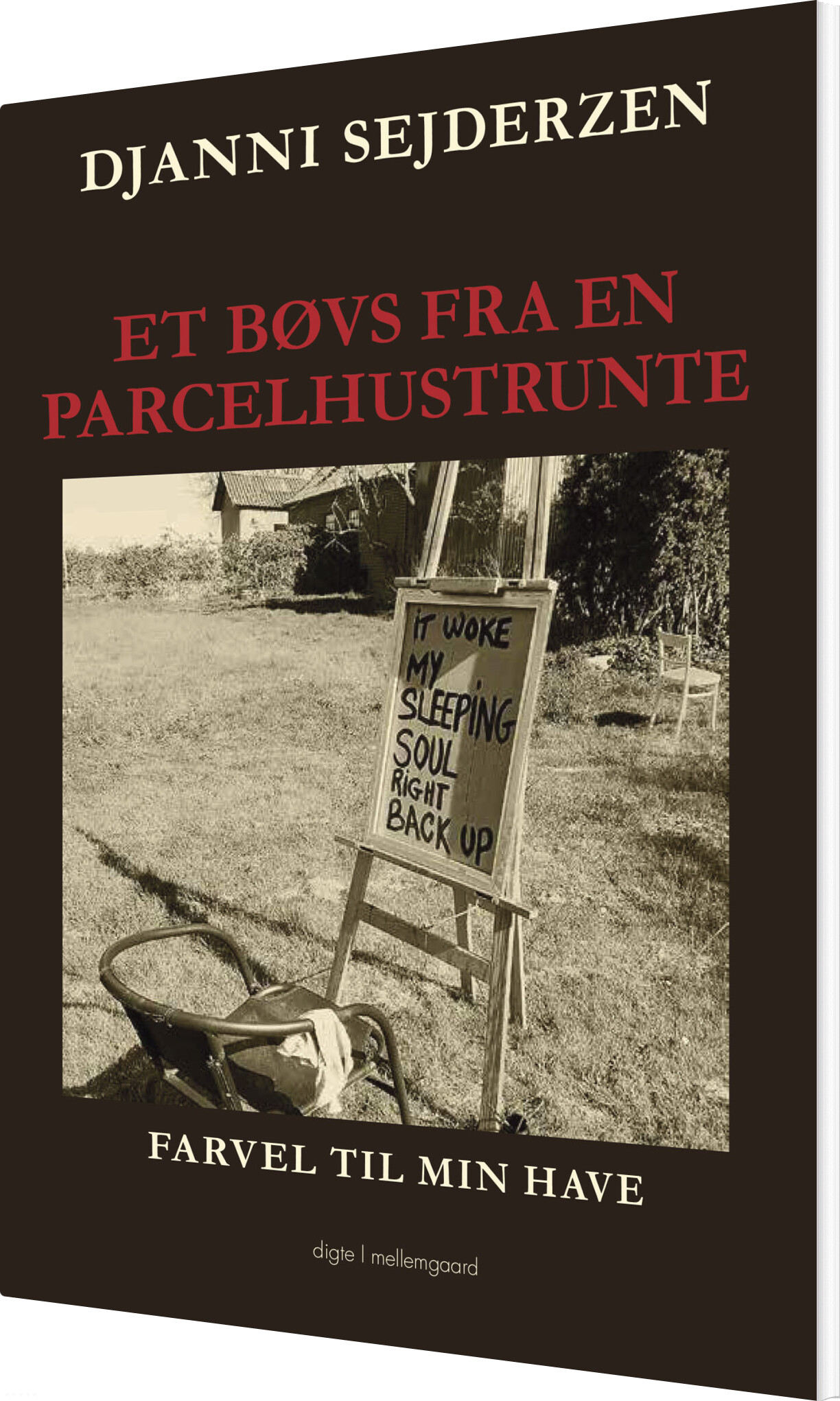 Et Bøvs Fra En Parcelhustrunte - Djanni Sejderzen - Bog