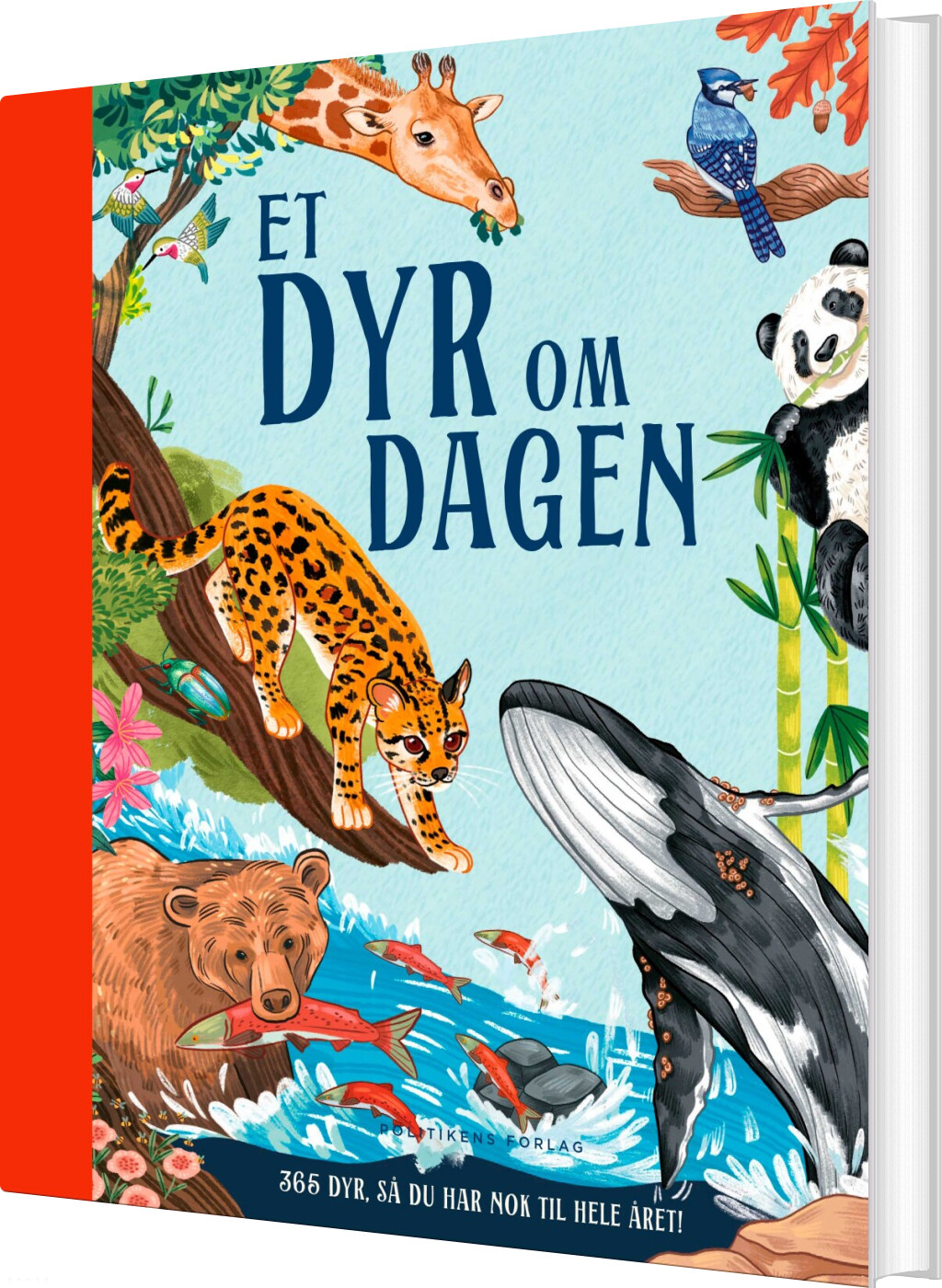Billede af Et Dyr Om Dagen - Miranda Smith - Bog