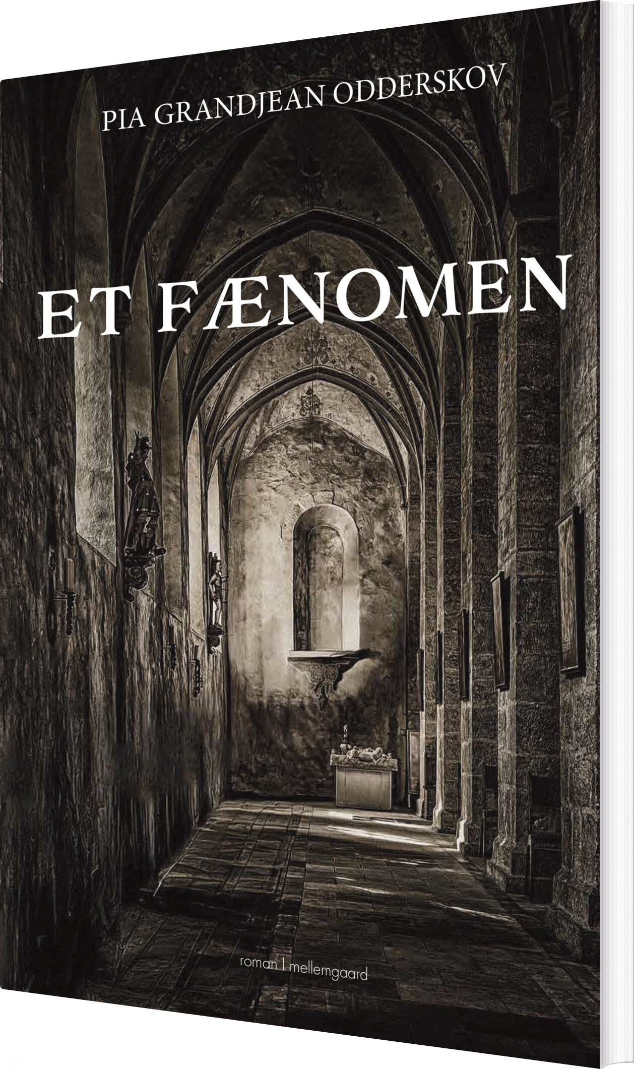 Et Fænomen - Pia Grandjean Odderskov - Bog