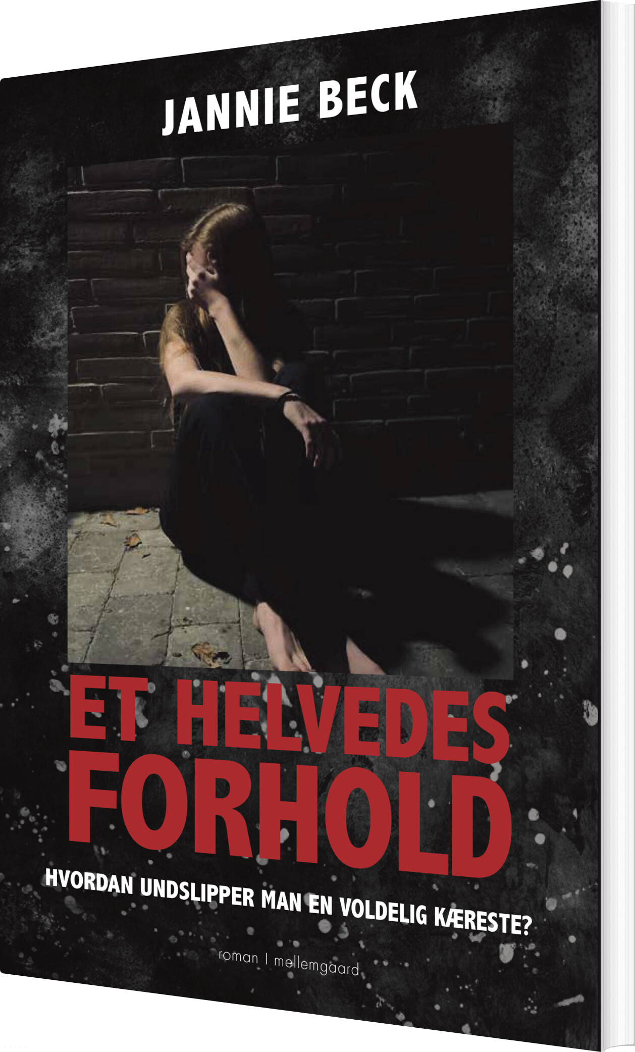 Et Helvedes Forhold - Jannie Beck - Bog