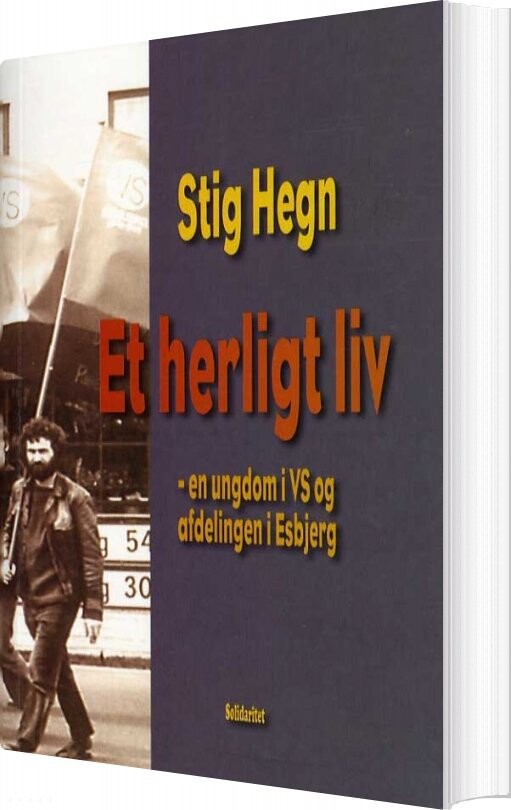 Billede af Et Herligt Liv - Stig Hegn - Bog