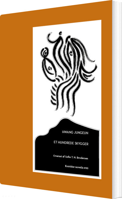 Et Hundrede Skygger - Hwang Jungeun - Bog