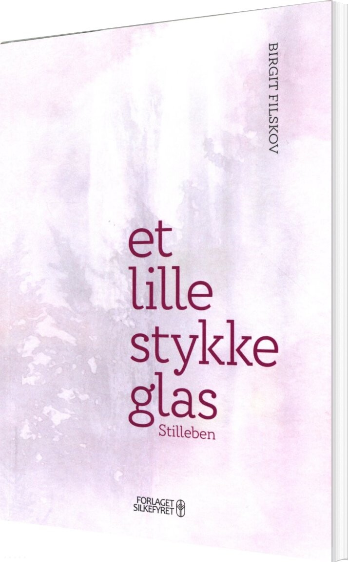 Billede af Et Lille Stykke Glas - Birgit Filskov - Bog