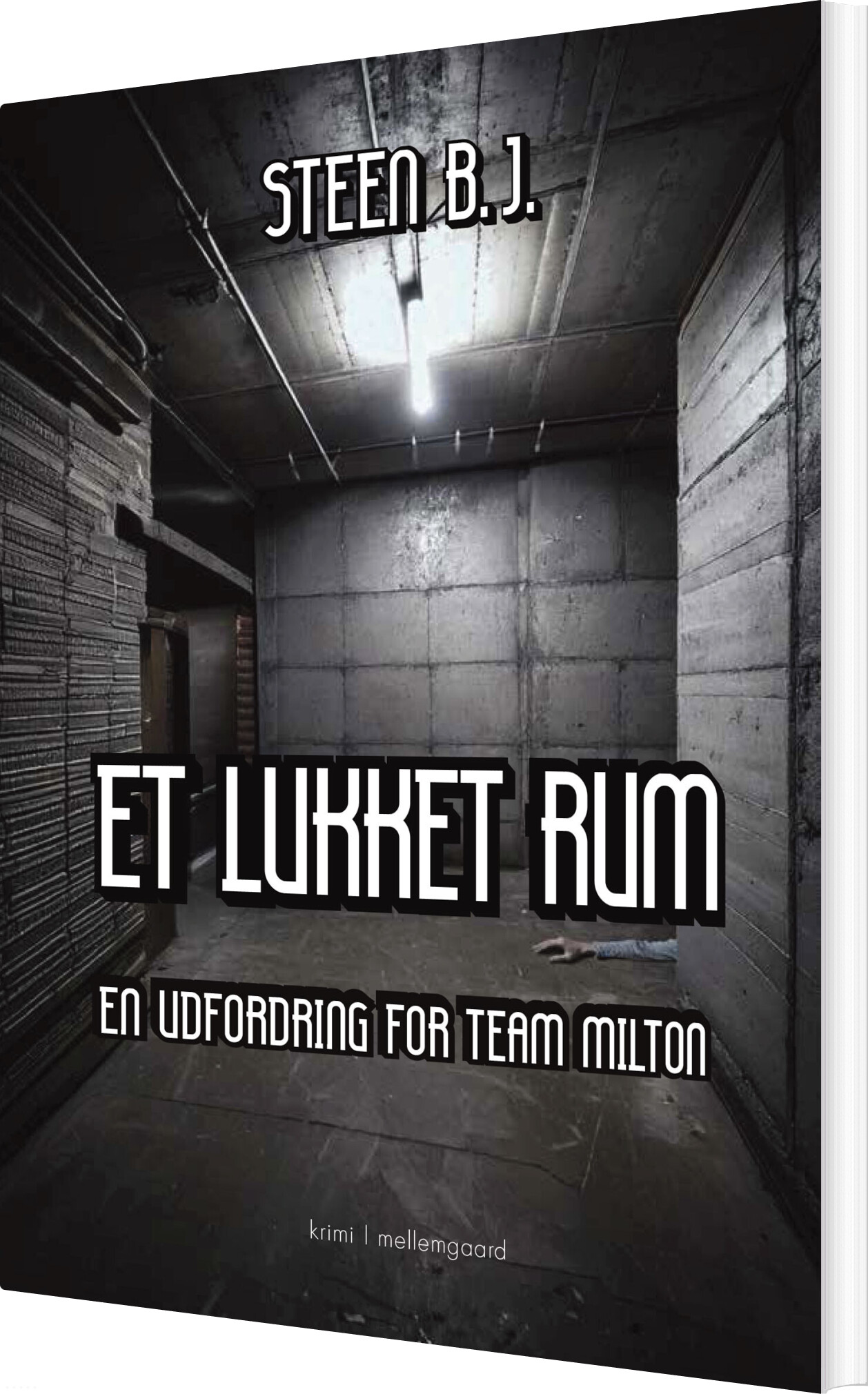 Et Lukket Rum - Steen B.j - Bog
