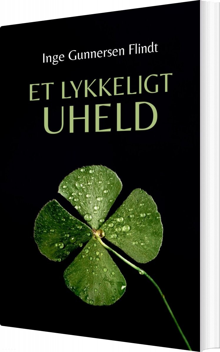 Billede af Et Lykkeligt Uheld - Inge Gunnersen Flindt - Bog
