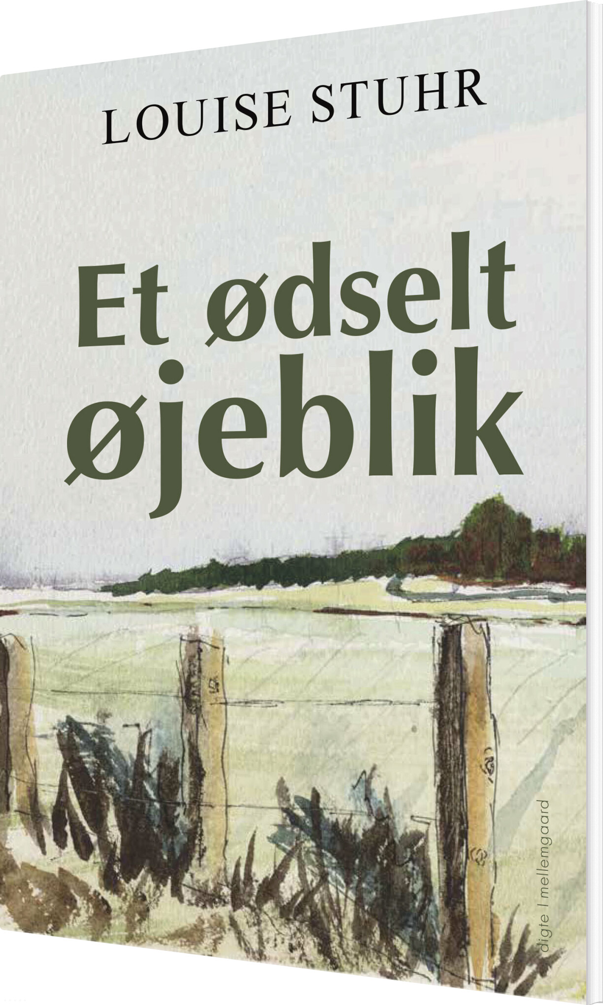 Et ødselt øjeblik - Louise Stuhr - Bog