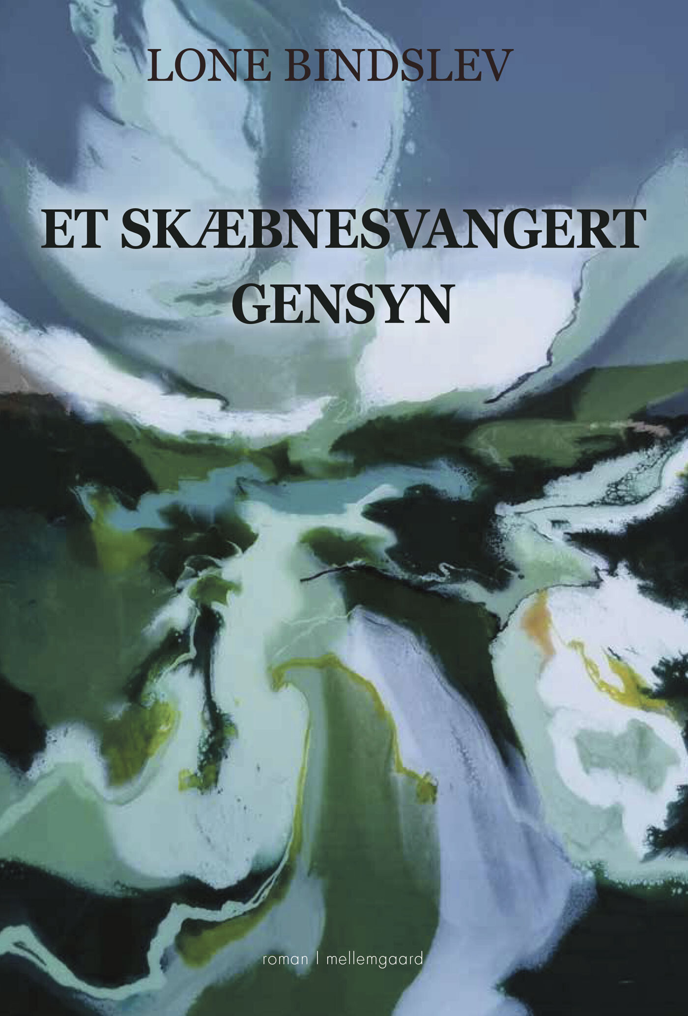 Et Skæbnesvangert Gensyn - Lone Bindslev - Bog