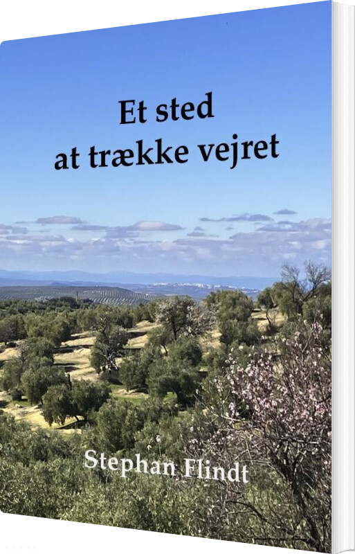 Et Sted At Trække Vejret - Stephan Flindt - Bog
