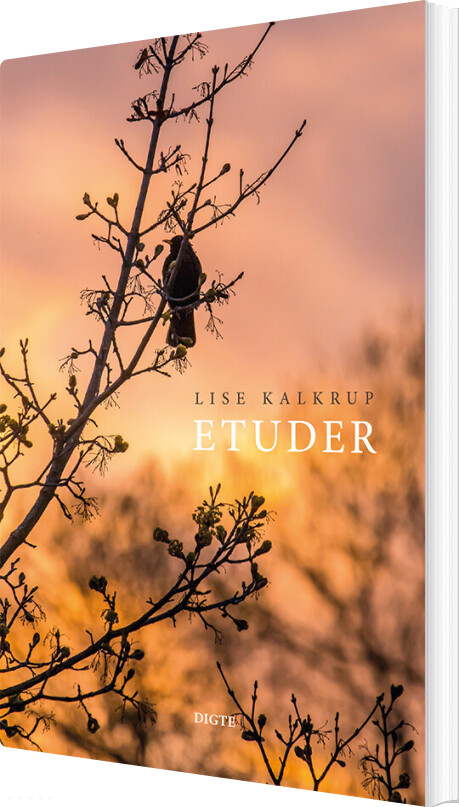 Billede af Etuder - Lise Kalkrup - Bog