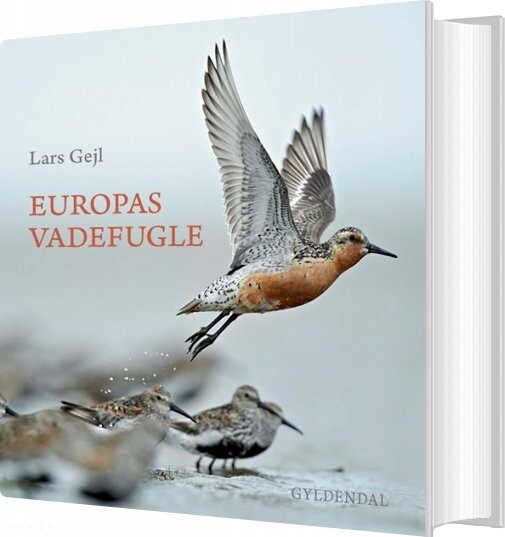 Billede af Europas Vadefugle - Lars Gejl - Bog