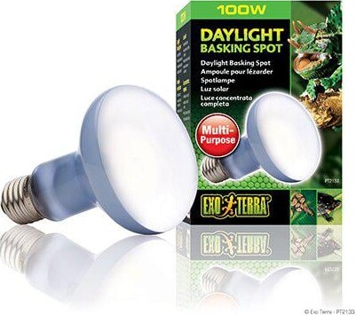 Exo Terra - Terrarium Spotlys - Daylight - R25 E27 - 100w
