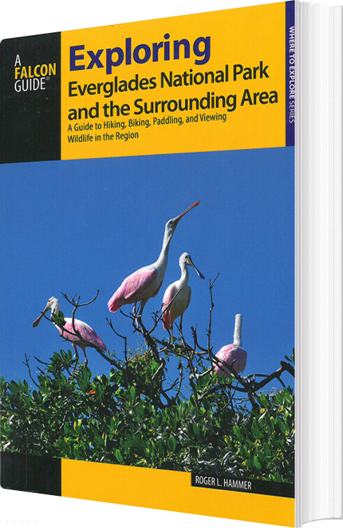 Billede af Exploring Everglades National Park And The Surrounding Area - Roger L. Hammer - English Book