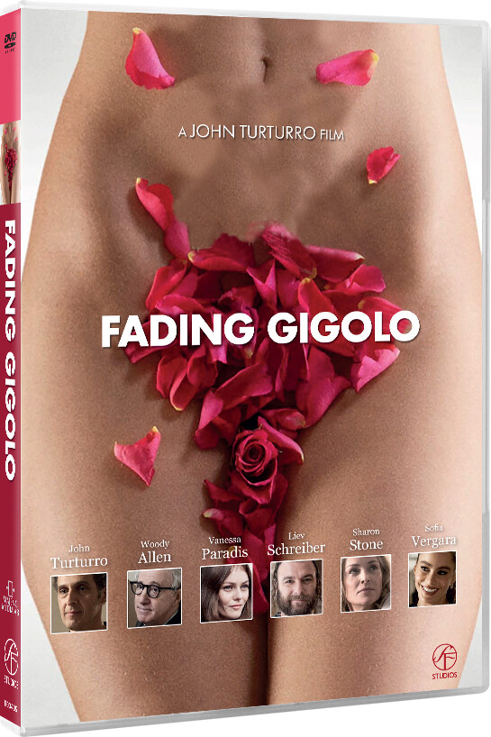 Fading Gigolo - DVD - Film