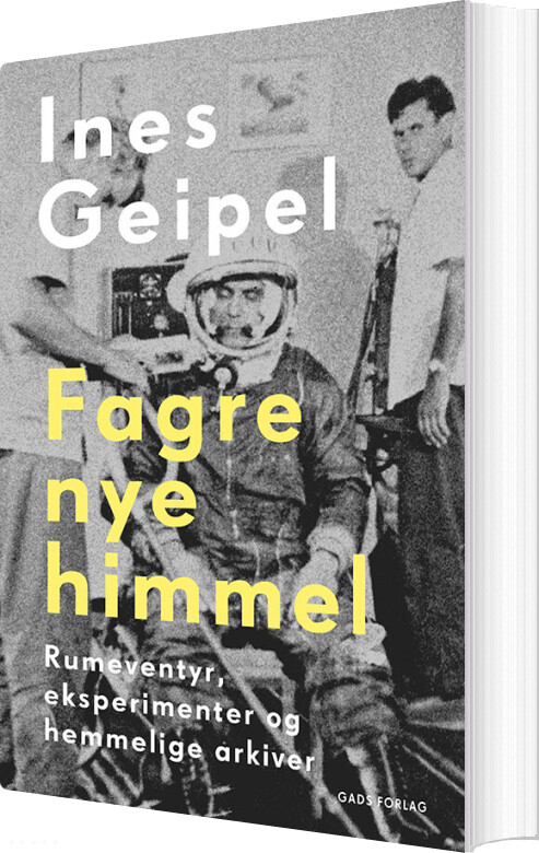 Billede af Fagre Nye Himmel - Ines Geipel - Bog