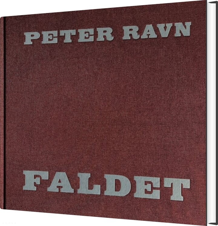 Faldet - Peter Ravn - Bog