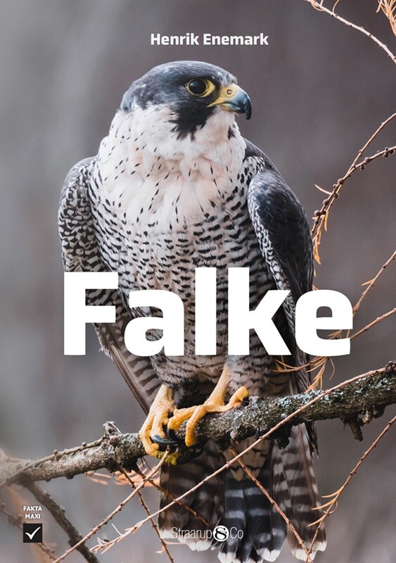 Falke - Henrik Enemark - Bog - Straarup & Co