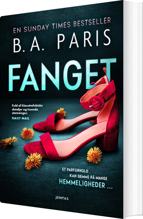 Fanget - B. A. Paris - Bog