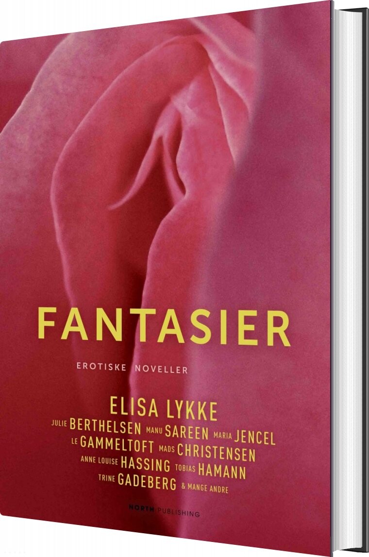 Billede af Fantasier - Elisa Lykke - Bog