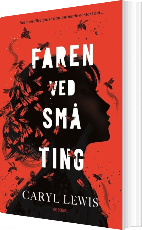 Faren Ved Små Ting - Caryl Lewis - Bog