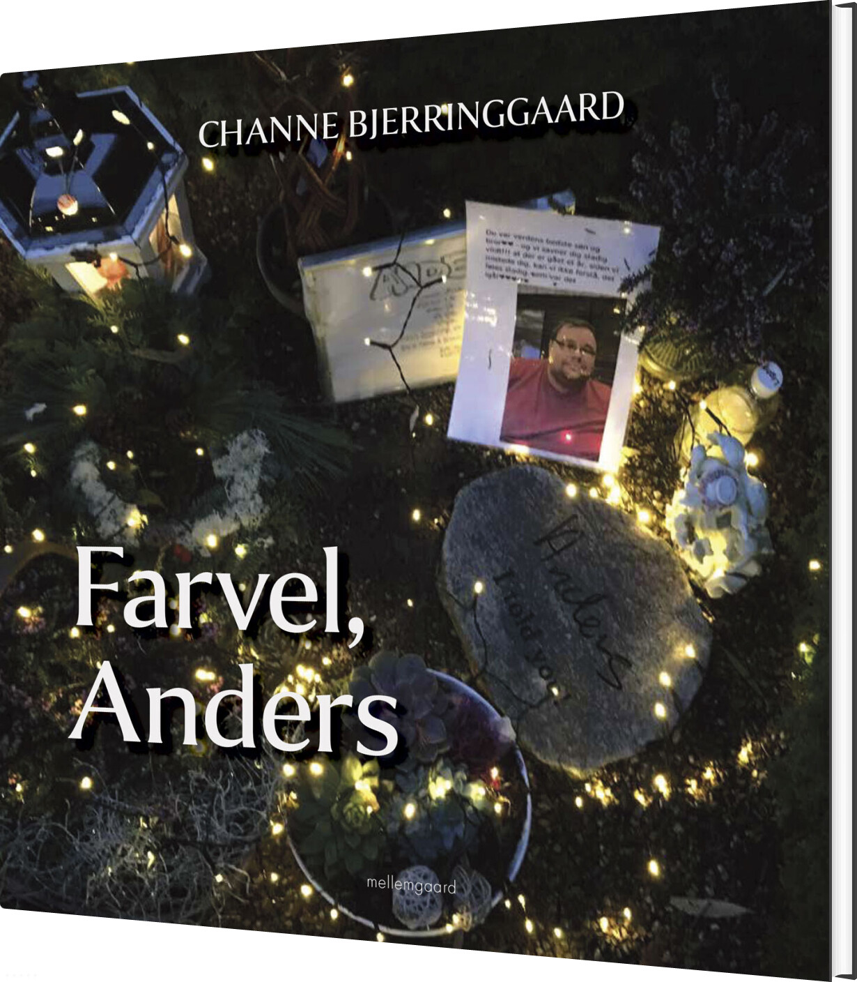 Farvel, Anders - Channe Bjerringgaard - Bog