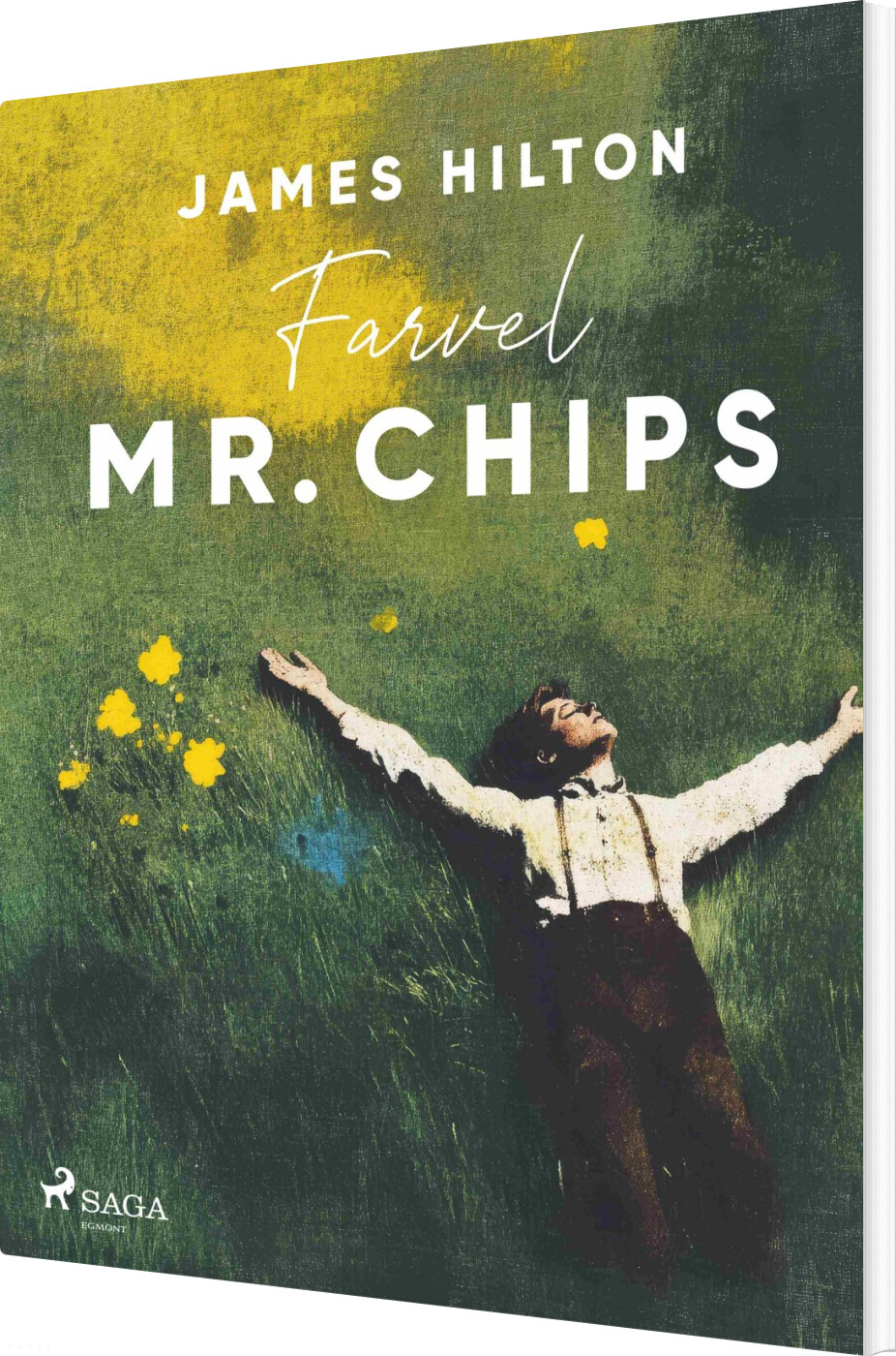 Farvel Mr. Chips - James Hilton - Bog