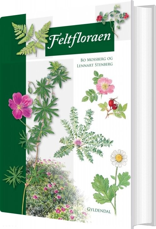 Billede af Feltfloraen - Lennart Stenberg - Bog