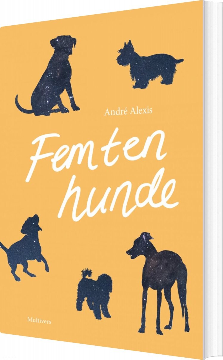 Billede af Femten Hunde - André Alexis - Bog