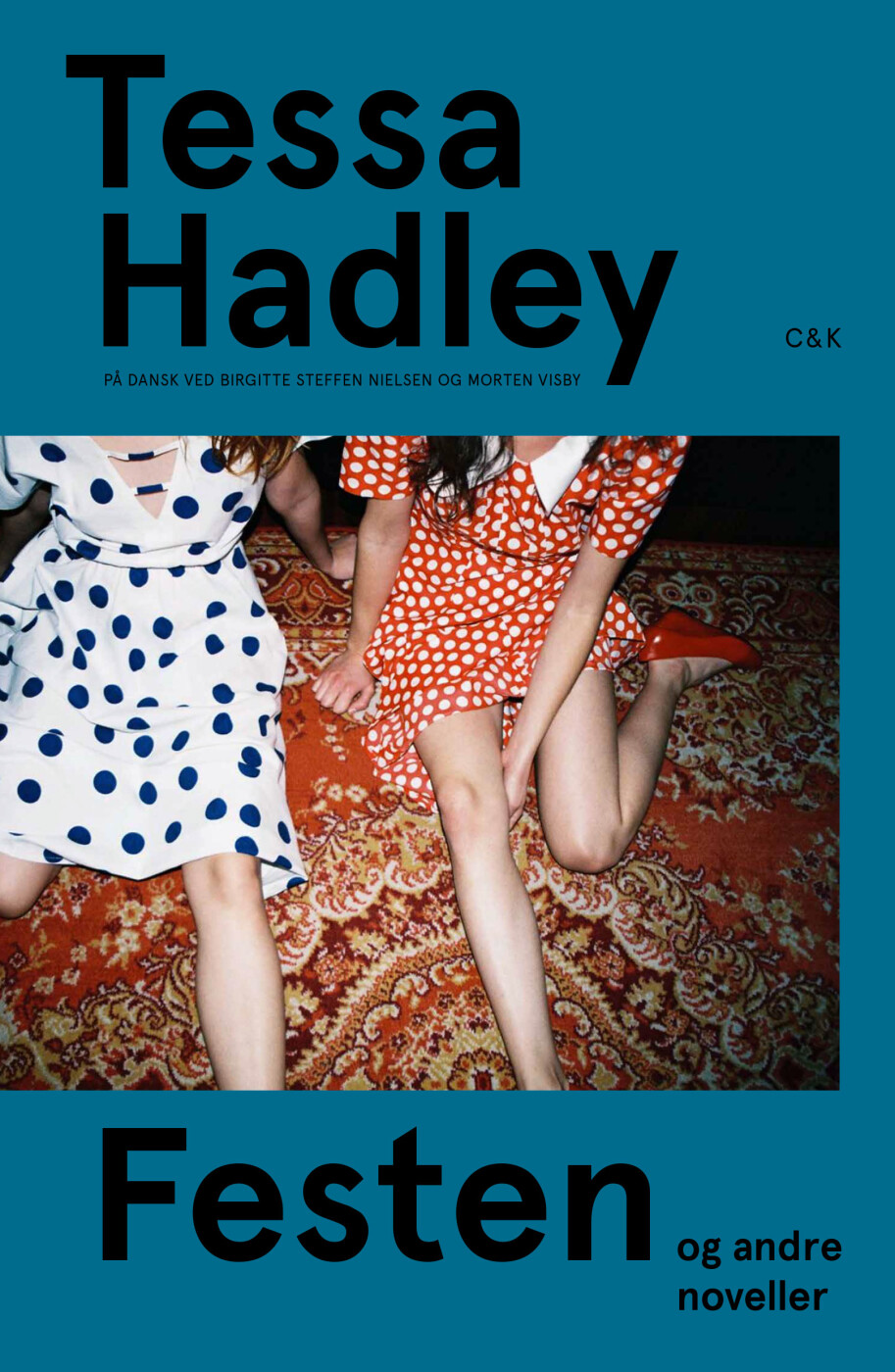 Festen & Andre Noveller - Tessa Hadley - Bog