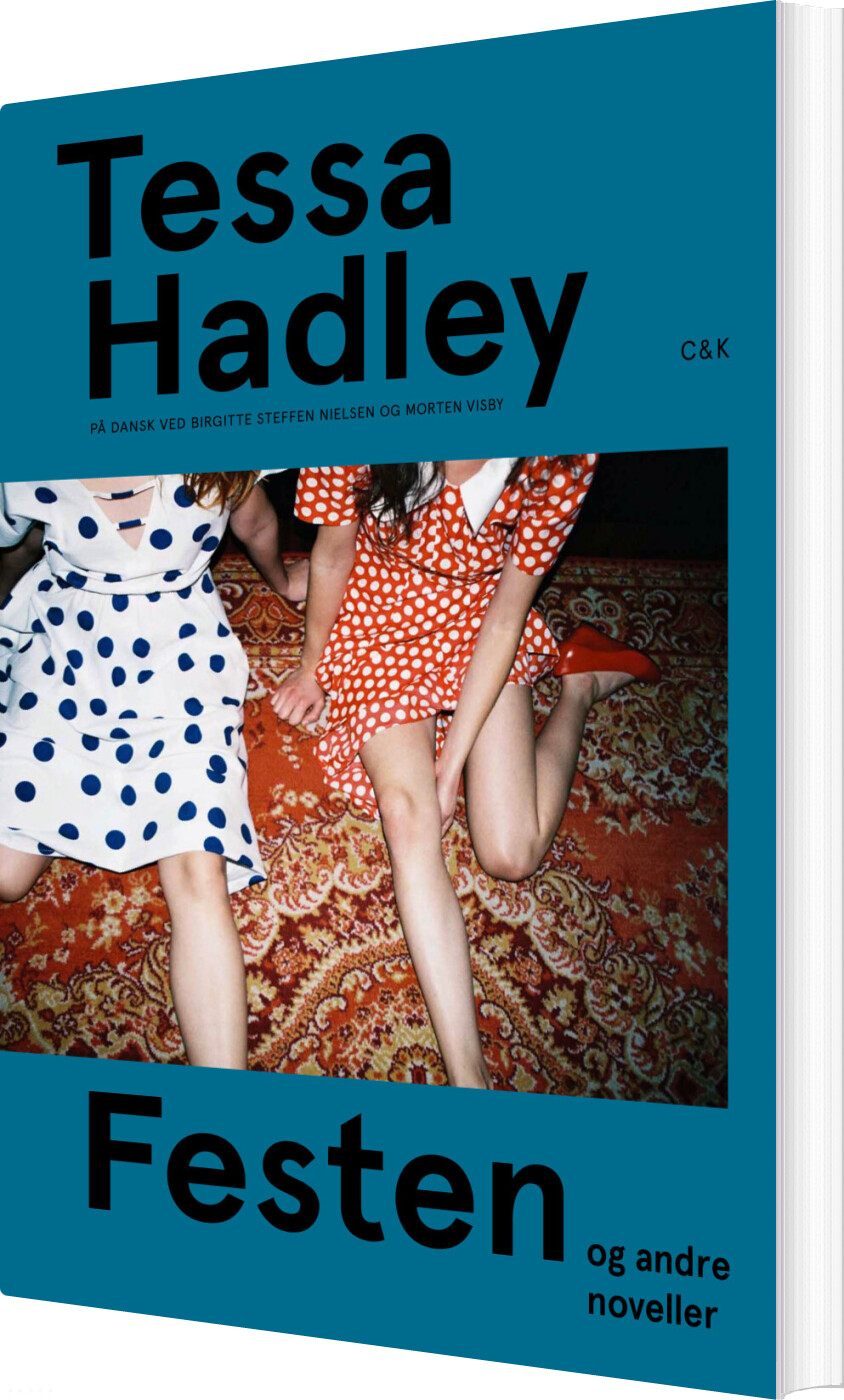 Festen & Andre Noveller - Tessa Hadley - Bog