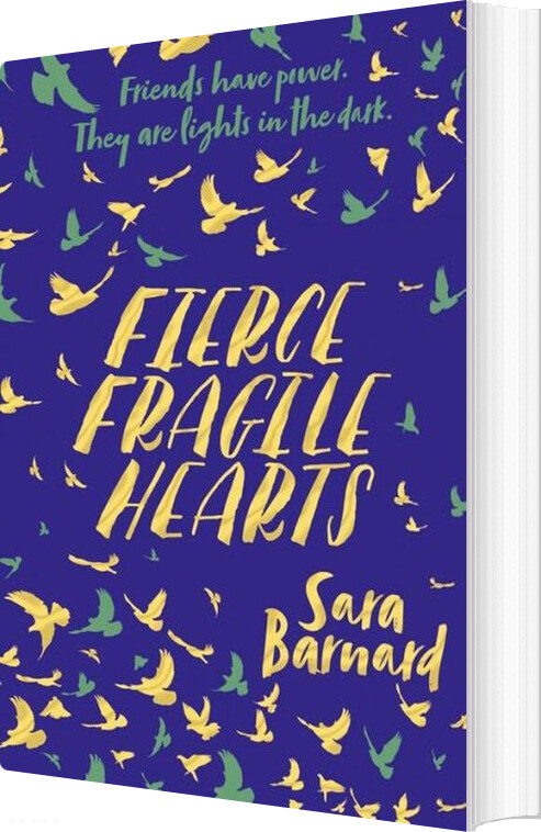 Billede af Fierce Fragile Hearts - Sara Barnard - English Book