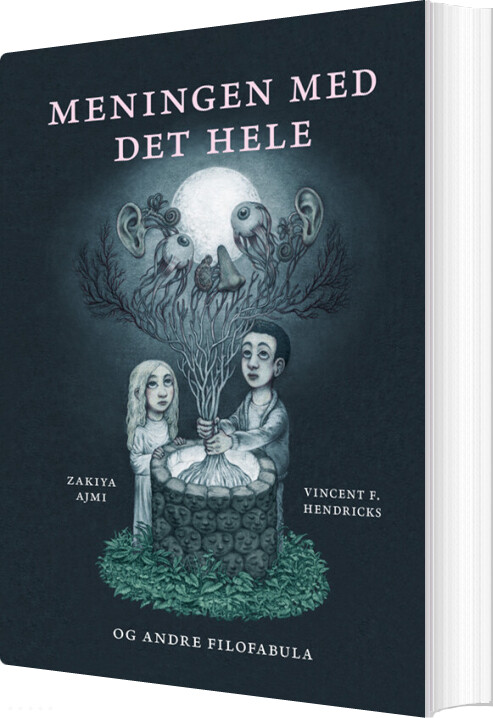 Meningen Med Det Hele Og Andre Filofabula - Vincent F. Hendricks - Bog