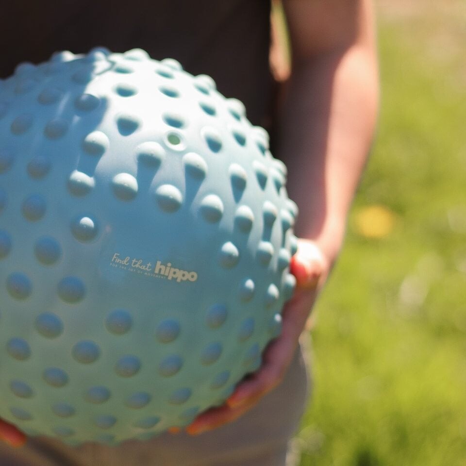 Find That Hippo - Stor Sansebold - Weldon Blue
