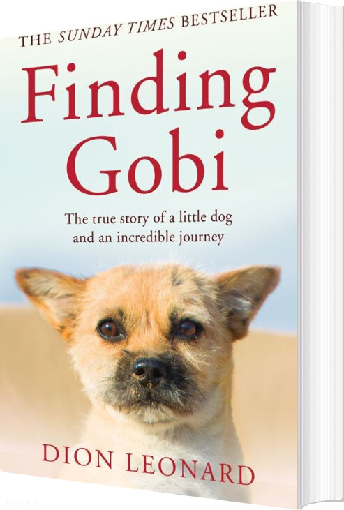 Billede af Finding Gobi - Dion Leonard - English Book