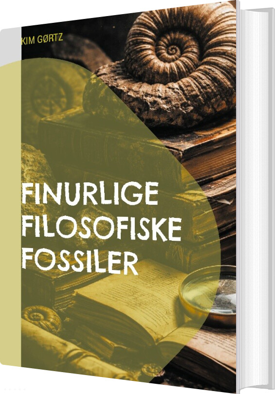 Finurlige Filosofiske Fossiler Parafrasiens Fænomenologi - Kim Gørtz - Bog