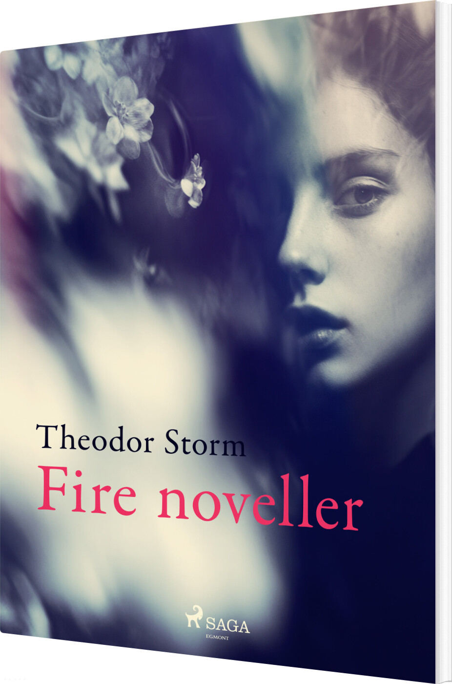 Fire Noveller - Theodor Storm - Bog