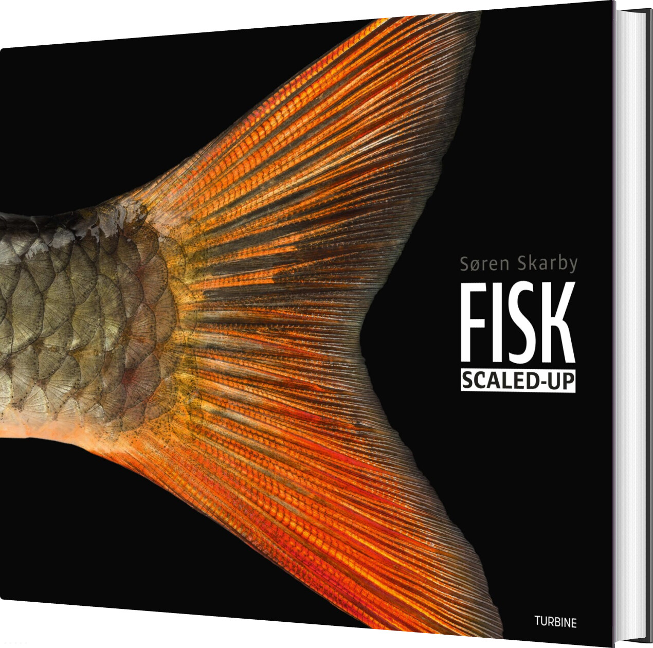 Billede af Fisk - Scaled-up - Søren Skarby - Bog