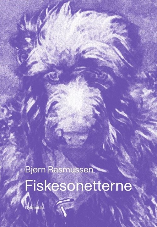 Billede af Fiskesonetterne - Bjørn Rasmussen - Bog