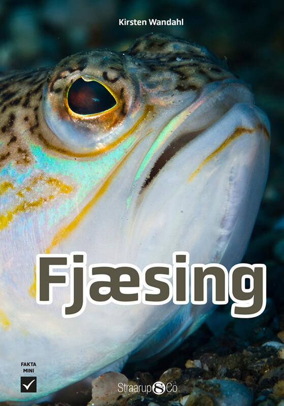 Fjæsing - Kirsten Wandahl - Bog