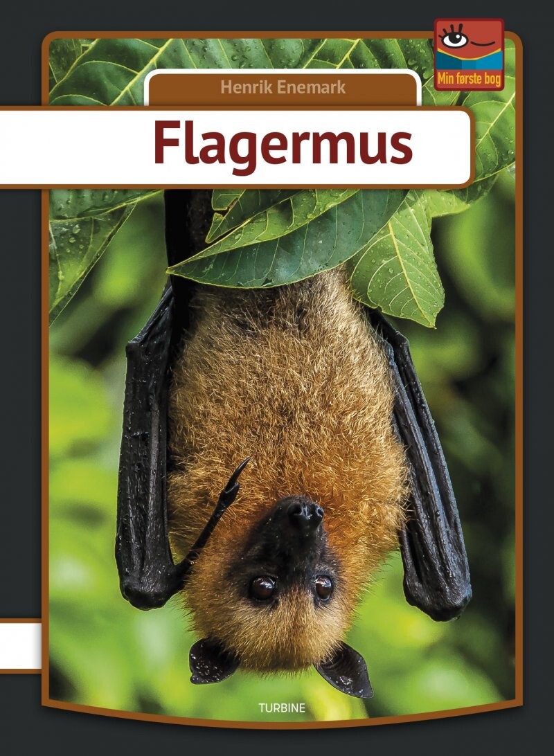 Billede af Flagermus - Henrik Enemark - Bog
