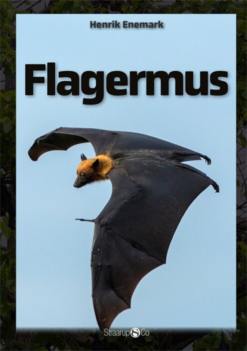 Flagermus - Henrik Enemark - Bog - Straarup & Co