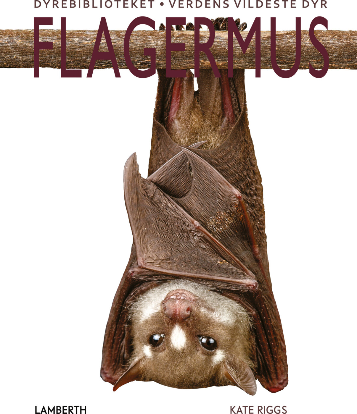 Flagermus - Kate Riggs - Bog