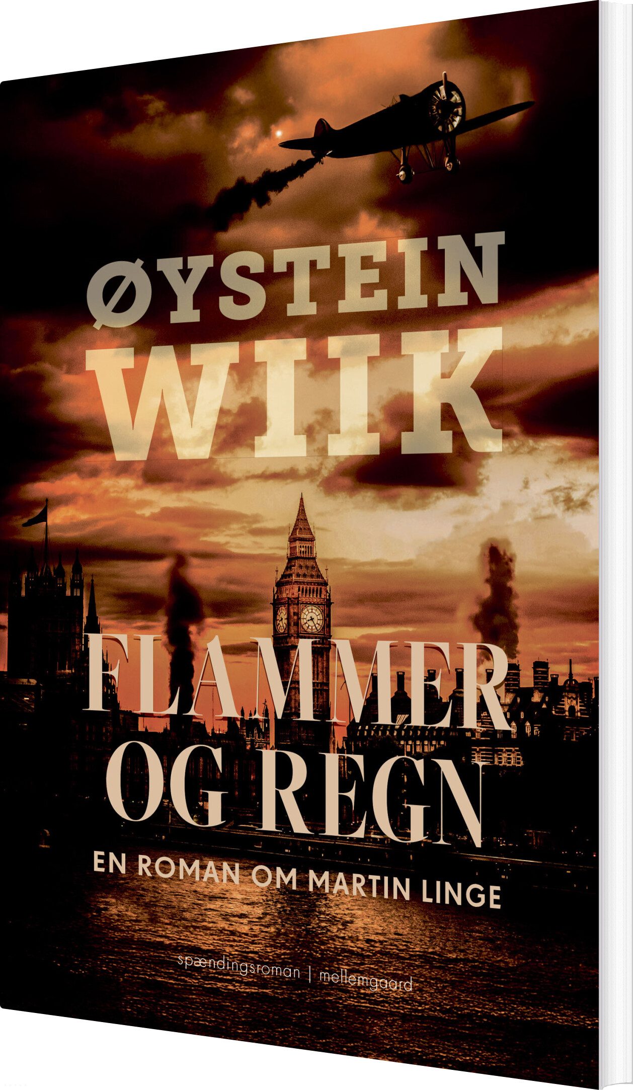 Flammer Og Regn - øystein Wiik - Bog