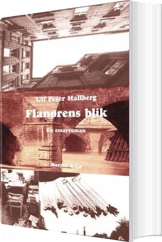 Billede af Flanørens Blik - Ulf Peter Hallberg - Bog