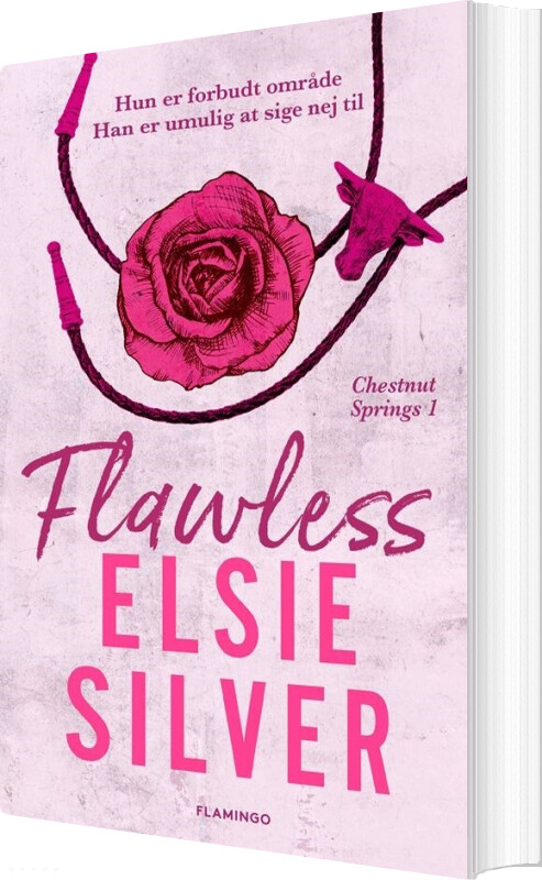 Flawless - Elsie Silver - Bog