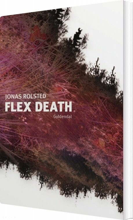 Billede af Flex Death - Jonas Rolsted - Bog