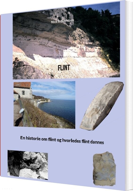 Billede af Flint - Nick B. Svendsen - Bog