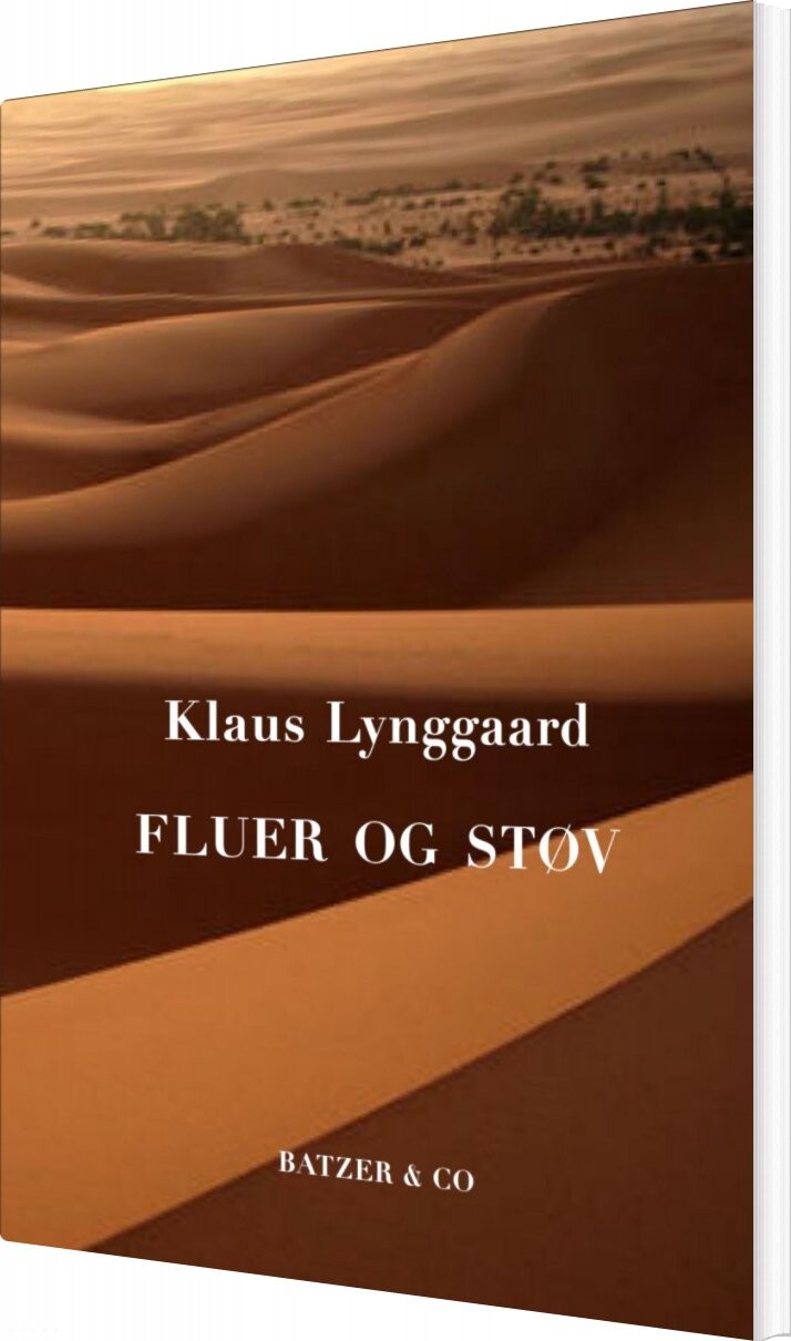 Billede af Fluer Og Støv - Klaus Lynggaard - Bog