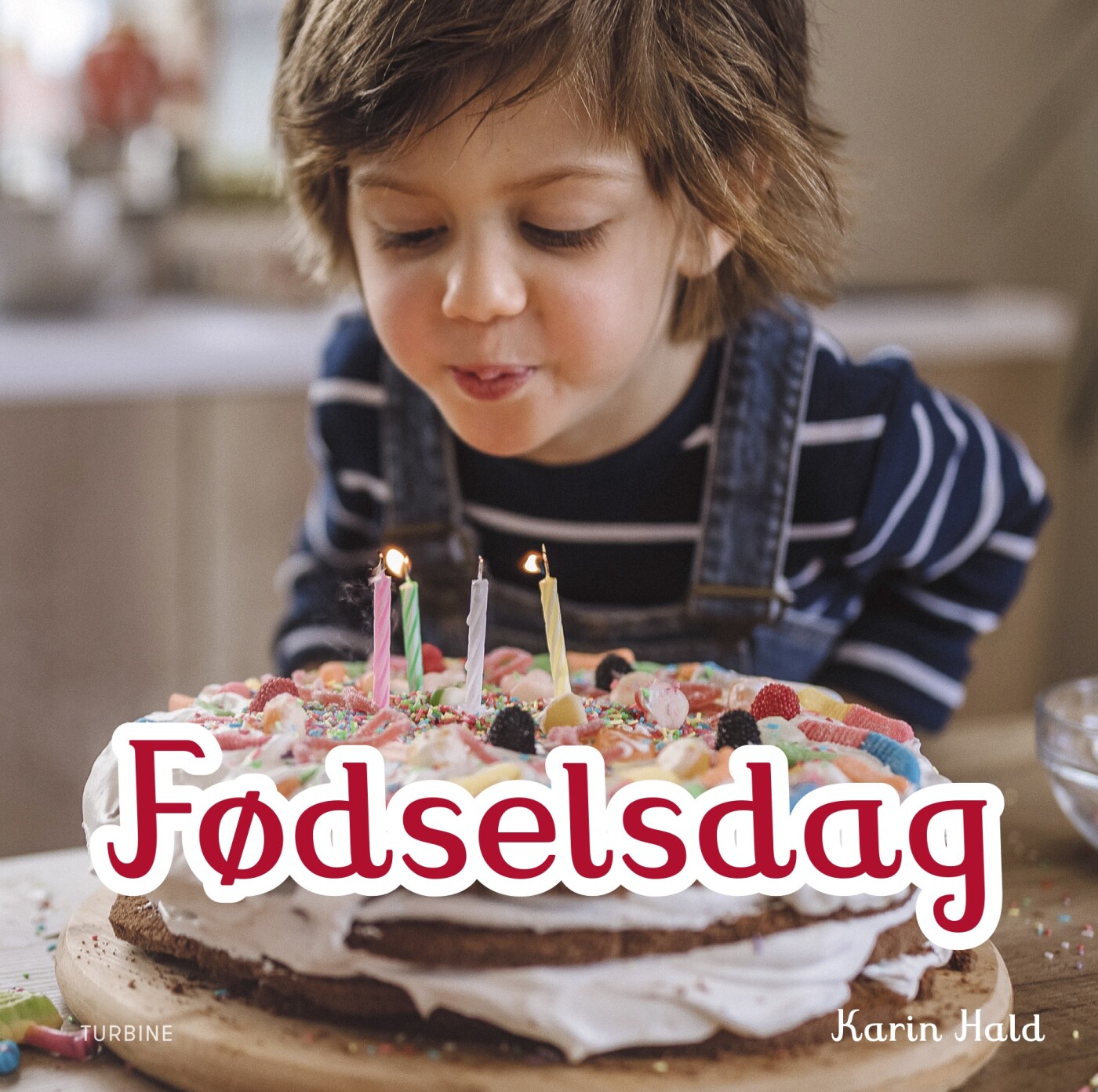Billede af Fødselsdag - Karin Hald - Bog