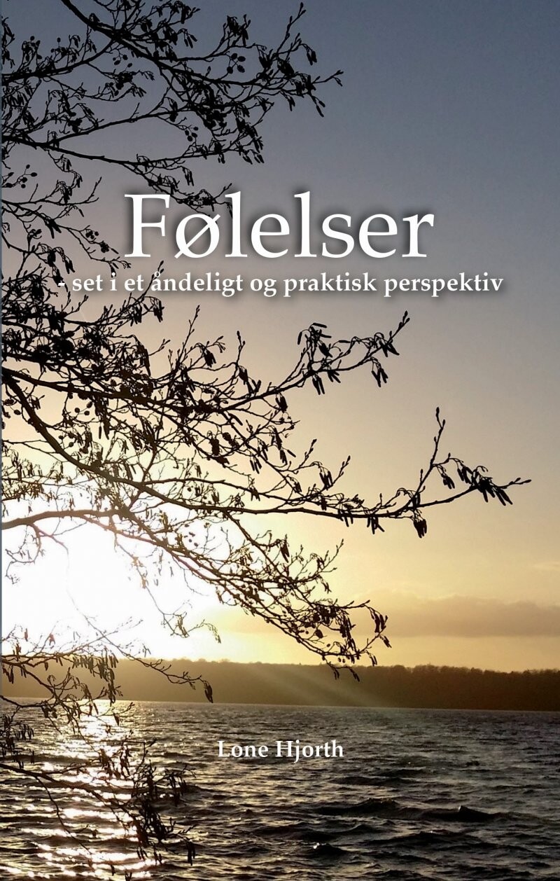 Følelser – Set I Et åndeligt Og Praktisk Perspektiv – Lone Hjorth – Bog